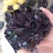 Balance 1pc Natural Crystals Clear Quartz Cluster Freeform Reiki Stones Room Home Office Aquarium Decoration Accessories Gemstone Home Decoration Home Goods (Size : 800-900g)