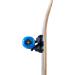 Tony Hawk 31 Signature Skateboard - Pro Trucks, Full Grip Tape, 9-Ply Maple Deck - Ideal for All Skill Levels - Buy Online on GoSupps.com