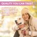 PETSY Dog Vitamins & Supplements 20-in-1 Essential Multivitamins B2 B3 B6 B7 B12 Vit C Folic Acid Biotin Glucosamine Chondroitin Wild Alaskan Salmon oil Hemp Seed oil Probiotics Blend TUB OF POWDER - Buy Online on GoSupps.com