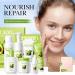 Avocado Skin Care Set | 8-in-1 Kit with Cleanser Face Cream & More | Perfect Birthday & Christmas Gifts for Teen Girls - Buy Online on GoSupps.com