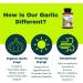 Organic 12400 mcg Allicin Supplement - Odorless & Delayed Release - 3rd Party Tested - 30-60 Days Supply - Buy Online on GoSupps.com