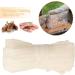 Sausage Casings Sausage Casings Edible Casings Edible Sausage Skins Edible Drying Sausage Casing Homemade Sausage Skin Casing Edible Sausages Casing Tube Edible Meat Stick Casings - Buy Online on GoSupps.com