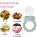 Baby Fruit Food Feeder Pacifier Teether for Babies 4 M+ Milk Frozen Set 2in1 Teether Toy Made of Soft Silicone Feeder for Infant Safely Self Feeding BPA-Free Grey-green - Buy Online on GoSupps.com