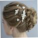 Angoily 1 Set Bride Wedding Hairpin Headband for Girls Pearl Hair Stick Wedding Bride Headdress Rhinestone Hair Comb Wedding Hair Comb Rhinestone Outfit Big Pearl Abs Hair Fork - Buy Online on GoSupps.com