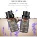 Aromatherapy Lavender Essential Oils Set 100% Pure Eucalyptus Scent Essential Oils Set 2X10ml Therapeutic Grade Eucalyptus Aromatherapy Essential Oils Lavender Fragrance Kit for Diffuser Humidifier - Buy Online on GoSupps.com