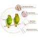 CULER Bird Wooden Ladder Rocking Perch Climbing Stairs Budgie Cage Toy Pet Supplies (32 * 7cm) - Buy Online on GoSupps.com