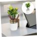 Zerodeko 2pcs Faux Lemon Potted Plant Mini Greenery Faux Plants Indoor Artificial Fruit Tree Bonsai Summer Flower Decor Ornament Office Lemon Tree Decors Plastic Desktop Decorations Yellow 11x6.5x26cm - Buy Online on GoSupps.com
