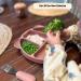 Alimos Stainless Steel Toddler Feeding Spoon and Fork Set - Safe Cutlery for Kids (Rose Dawn) - Buy Online on GoSupps.com