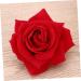 FRCOLOR 2 1 Rose Clips for Hair Rose Hair Accessories Flower Hair Accessories for Women Flower Pins for Clothes Red Brooch Room Accessories Rose Hair Clips for Girls Bride Wedding Mexico medium Red - Buy Online on GoSupps.com