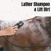Horses Massage Comb Hair Shedding Brush Horse Care Body Brush Horse Grooming Kit for Horses Dogs Comb Washing & Shed Removing Dried Loose Hair - Buy Online on GoSupps.com