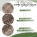 Shop Hetto Blonde Clip Extensions - Real Remy Hair #18/613 Ash Blondine Highlights 120g 40cm - Best Selling Clip-In Hair Recovery - Buy Online on GoSupps.com