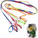 Buy Buidi Portable 8-Shaped Pet Traction Rope for Birds Hamsters Turtles & Lizards - Green | International Shipping Available - Buy Online on GoSupps.com