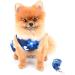 Paidful Dog Harness Dress for Small Dogs & Cats | Colorful Flower Tutu & Leash | Breathable Pet Clothing for Mini Puppies Chihuahuas & Yorkies | Spring Blue Size L - Buy Online on GoSupps.com