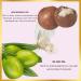 HASK Moisturizing Conditioner with Macadamia Oil - 355ml | Color-Safe Animal Test-Free Ideal for All Hair Types - Shop Now! - Buy Online on GoSupps.com