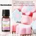 EUQEE Holiday Island Fragrance Oils Gift Set - Essential Oils for Diffusers - Aromatherapy Oil Blend of Pineapple Coconut, Sea Breeze, Bubble Gum, Bay Rum, Marshmallow - 6 Pack 10 ml - Buy Online on GoSupps.com