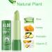 4 Pcs Aloe Vera Color Changing Lipstick - Long-Lasting Moisturizing Lip Balm for Women | Nutritious Temperature-Responsive Magic Lip Stick - Buy Online on GoSupps.com