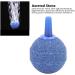 Zoominyy Sandstone Ventilated Stone - 20 Pack Oxygen Pump Aeration Stones for Aquariums | Enhance Fish Health - Buy Online on GoSupps.com