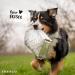 FRESCO Dog Complete Plus - Dry dog food - 2.5 kg - Based on fresh meat fruits and vegetables - Grain-free BARF - 100% natural ingredients - No artificial additives - Buy Online on GoSupps.com