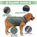EMUST British Style Windproof Warm Dog Jacket for Winter - Green | Dog Apparel for Cold Weather - 7 Sizes, 13 Colors - Buy Online on GoSupps.com