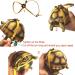 Ebamaz Leather Harness Strap for Tortoise Turtle Leash Pet Walking Lead Control Rope Chest Collar (M) - Buy Online on GoSupps.com