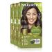 Natureint Biobased |Hair color oohne ammoniak |5n chestnut brown light |High proportion of natural ingredients3 pack |510 ml 5n.Chestnut brown bright 170 ml (3 -pack)