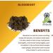 SENTA Herbaveda- Bloodroot 200g | Sanguinaria Canadensis - Buy Online on GoSupps.com