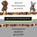 Buy Baltic Secret Dog & Cat Neck Band - Adjustable Amber Flea Tank Bands | Natural Treatment & Perfect Gift for Animal Lovers - Buy Online on GoSupps.com