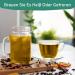 Handpicked Green Tea Ginger Lemonade Bags - 100 Count | Pure Ginger Tea with Lemongrass & Liquorice | Hot & Cold Brew Herbal Tape - Buy Online on GoSupps.com