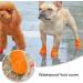 Dog Boots 4 Pcs Dog's Paw Protectors Wear Resistant Dog Boots for Injured Paws Waterproof Dog Shoes for Dog Walking Outside (Small) The Size is 0.79n*2.76in*1.57in/2cm*7cm*4cm - Buy Online on GoSupps.com