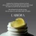 Labiora Lemon Honey Face Mask Wash-Off Pack & Scrub 5-Minute Exfoliating Hydrating Gentle for Sensitive Skin with Manuka Honey & Lemon Extract 3.52 oz (100 g) - Buy Online on GoSupps.com