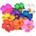 LEORX 6pcs Hibiscus Flower Hair Clip Set - Hawaiian Floral Hair Accessories for Wedding & Festival - Buy Online on GoSupps.com