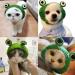 1Pcs Pet Funny Hat Cute Cat Hat Cartoon Dog Hat Adorable Frog Shape Pet Cap Pet Hair Band Hat Weaving Pet Grooming Supplies for Kitten Puppies  - Buy Online on GoSupps.com