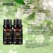 Therapeutic-Grade Aromatherapy Essential Oils Set Jasmine Lavender Essential Oils Set 100% Pure Aromatherapy Essential Oils Kit for Diffuser Massage Humidifier 2x10ml - Buy Online on GoSupps.com
