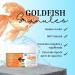 Goldfish Granules Granulated Food for Coldwater Fish Natural Complete Food Balanced Diet for All Types of Aquarium and Coldwater Pond Fish Sebular Plant - Buy Online on GoSupps.com