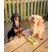 Soopa Kale and Apple Dental Dog Treats Vegan Grain Free Made in Ireland 4 Sticks Kale and Apple 1 Pack (4 Sticks) - Buy Online on GoSupps.com