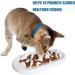 Interactive Slow Feeder Cat Bowl - HICOMIE Pet Fun Bowl for Stress-Free Eating, Prevents Obesity and Improves Digestion - White Fish Design - Buy Online on GoSupps.com
