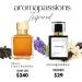RADIANCE | Inspired by (MFK) GRAND SOIR | Pheromone Perfume for Men and Women | Extrait De Parfum | Long Lasting Dupe Clone Essential Oils Fragrance | Perfume De Hombre Mujer | (30 ml / 1 Fl Oz) 1 Fl Oz (Pack of 1) - Buy Online on GoSupps.com