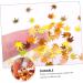 Buy Healeved Maple Leaf Sequins - Nail Flakes & Craft Decorations | 2 Boxes of Nail Art & Makeup Accessories - Buy Online on GoSupps.com