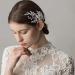 ISLHJDD Wedding Hair Comb Wedding Hair Clip Pearl Hair Comb Rhinestone Bridal Headpiece Pearl Bridal Hairclips Hair Accessories for Women and Girls - Buy Online on GoSupps.com