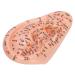 Human Ear Acupuncture Model with Acupuncture Points - Best Ear Massage Therapy Tool for Pain Relief & Wellness - Buy Online on GoSupps.com