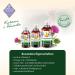 Shop Chronobalance 250ml Milk Thistle Oil for Cats | Natural Nutritional Supplement for Fur & Skin Health | Rich in Vitamin E Omega-6 & Omega-9 | Dosing Cups Included - Buy Online on GoSupps.com