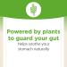 Natural Factors DGL Root Extract 180 Chewable Tablets | Digestive Health Support - Buy Online on GoSupps.com
