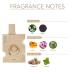 Ajmal Evoke Gold Edition EDP For Men 3 oz - Made in Dubai - Buy Online on GoSupps.com