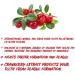 Natural 2 in 1 Toothpaste - Anti Tartar Cranberry | 100 ml | Best International Shipping - Buy Online on GoSupps.com