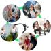 Ingjia 12 Pairs Universal Ear Bracket Hooks - Silicone Anti-Slip Glasses Holders for Sunglasses & Safety Glasses - Black & Transparent - Buy Online on GoSupps.com