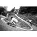 Atlas Truck Co. Ultralight Longboard Trucks 180mm - White (Set of 2) - Buy Online on GoSupps.com