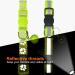 TagME 2 Pack Personalized Reflective Cat Collars with Bell - Green - Buy Online on GoSupps.com