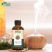  ORGANIC ZING Organic Zing Dill Seed Oil (Anethum graveolens) | Pure and natural carrier oil for skin care aroma and diffuser 30 ml - Buy Online on GoSupps.com