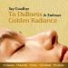 Richfeel Gold Facial Kit | Bright & Glowing Skin | Parlour Like Instant Glow With The Goodness Of Gold Foils| 30 g - Buy Online on GoSupps.com