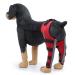 Dog Knee Brace Adjustable Dog Leg Brace Double Rear Leg Brace Elastic Shockproof Dog ACL Brace CCL Brace Hind Leg Pet Knee Pads with Reflective Strips for Pets and Dogs (S) Small